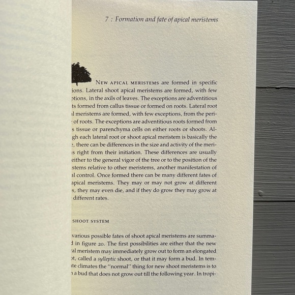 1984 The Growing Tree Forestry Student Tree Arborist Woods Forest Biology Nature - Picture 4 of 8